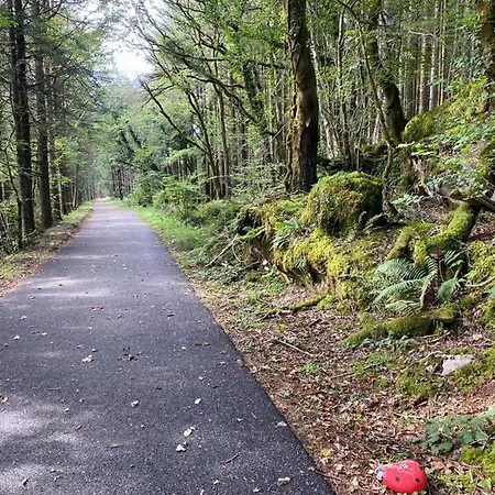 Racecourse Appartamento Clifden