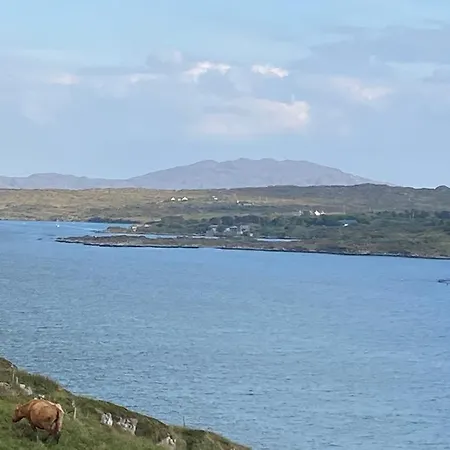 Racecourse * Clifden