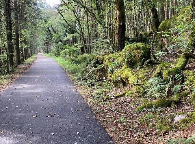 Racecourse Апартаменты Клифден