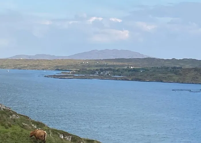 Racecourse * Clifden